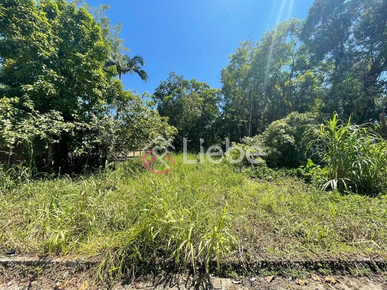 Terreno no Centro de Pomerode com 500,00m fazendo frente em 20,00 metros. — foto 5