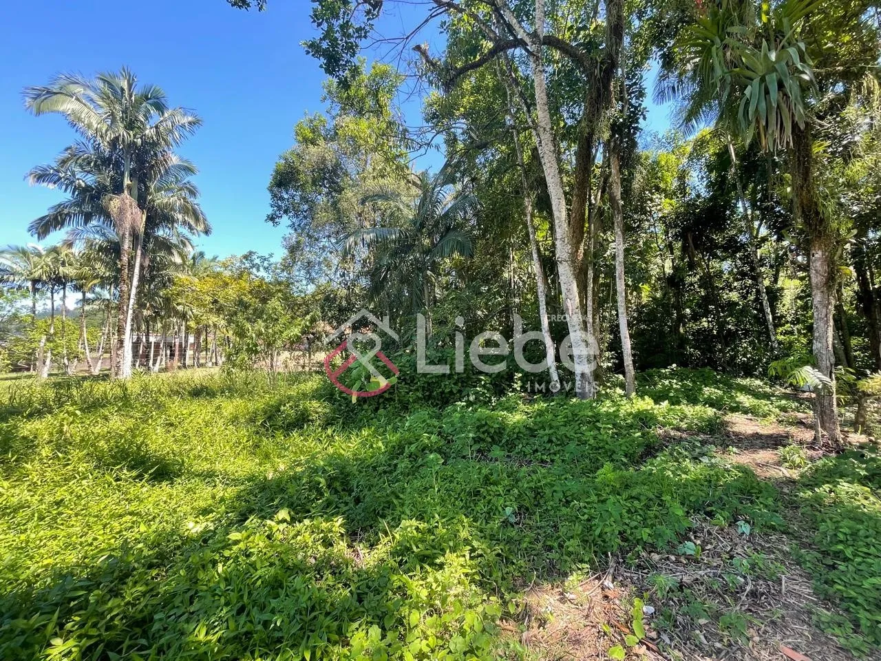 Terreno no Centro de Pomerode com 500,00m fazendo frente em 20,00 metros. — foto 7