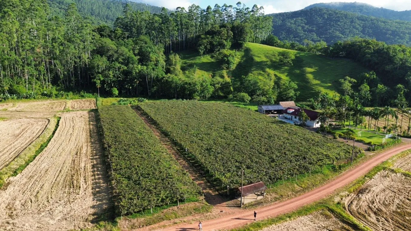 OPORTUNIDADE ÚNICA PARA SÍTIO EM ASCURRA/SC - 25.000m DE NATUREZA E POTENCIAL - foto 1