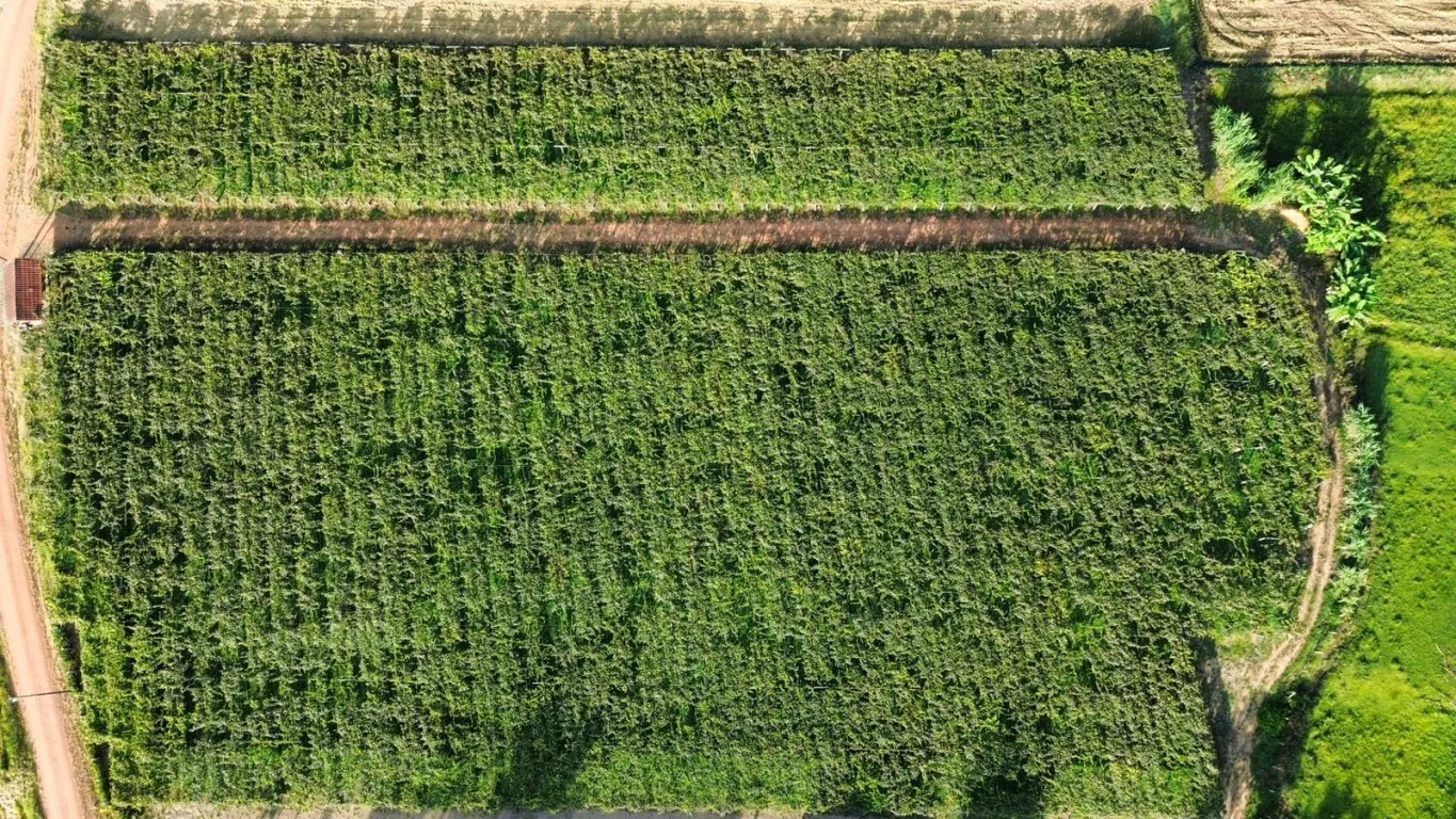 OPORTUNIDADE ÚNICA PARA SÍTIO EM ASCURRA/SC - 25.000m DE NATUREZA E POTENCIAL — foto 2
