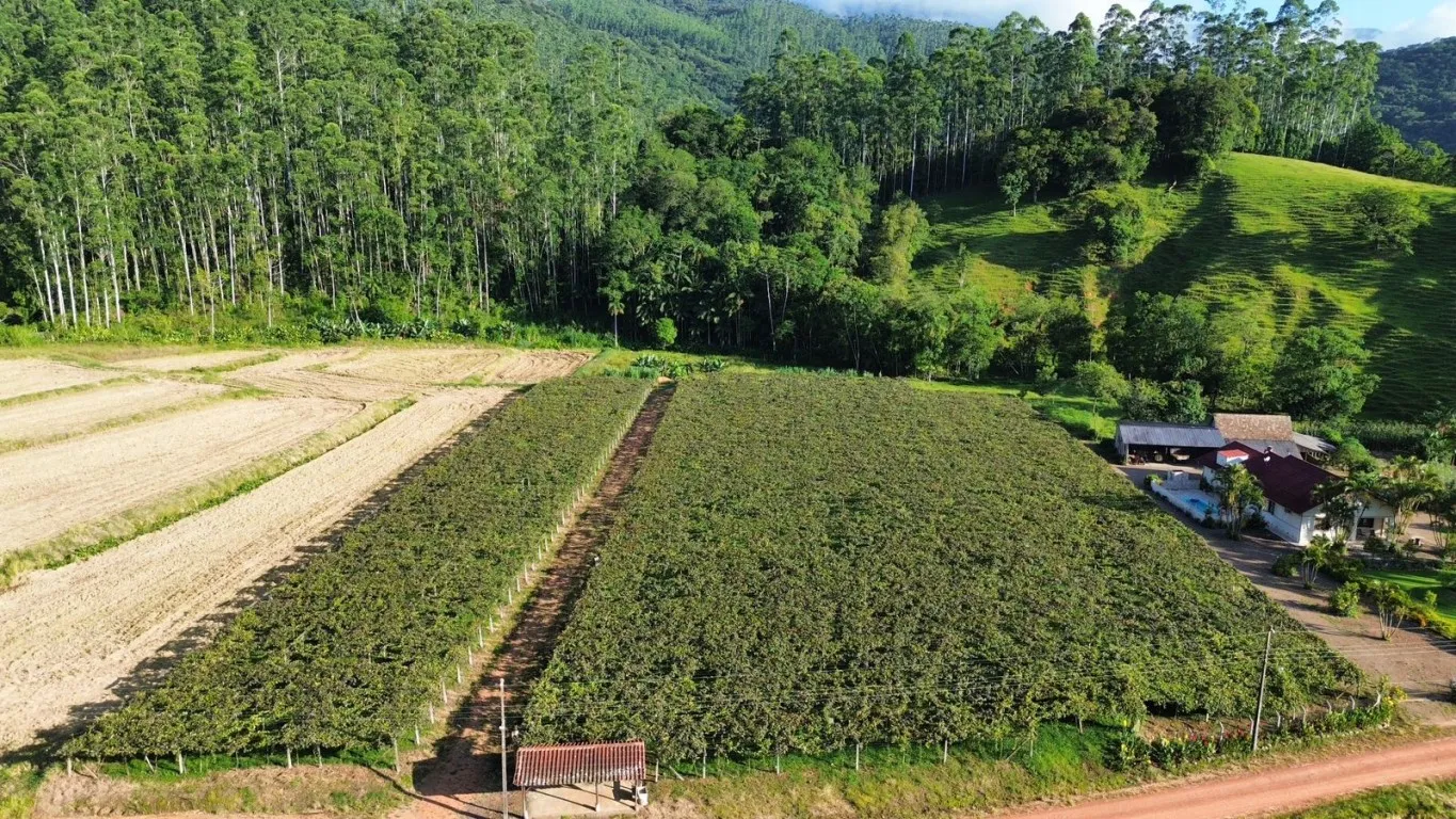 OPORTUNIDADE ÚNICA PARA SÍTIO EM ASCURRA/SC - 25.000m DE NATUREZA E POTENCIAL — foto 3