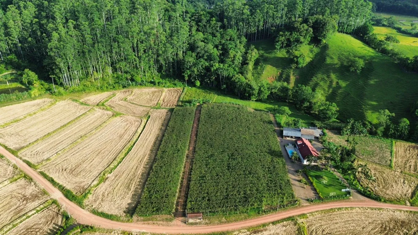 OPORTUNIDADE ÚNICA PARA SÍTIO EM ASCURRA/SC - 25.000m DE NATUREZA E POTENCIAL — foto 4