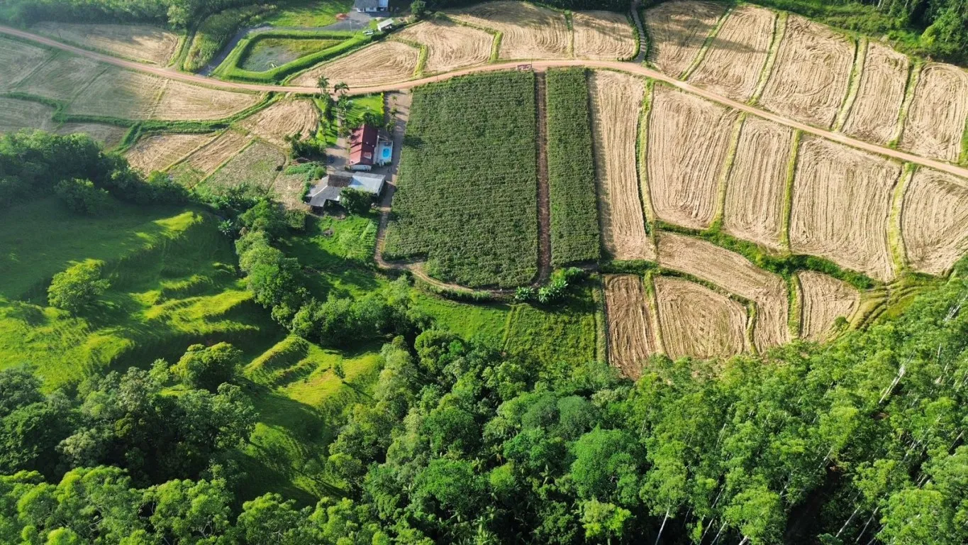 OPORTUNIDADE ÚNICA PARA SÍTIO EM ASCURRA/SC - 25.000m DE NATUREZA E POTENCIAL — foto 6