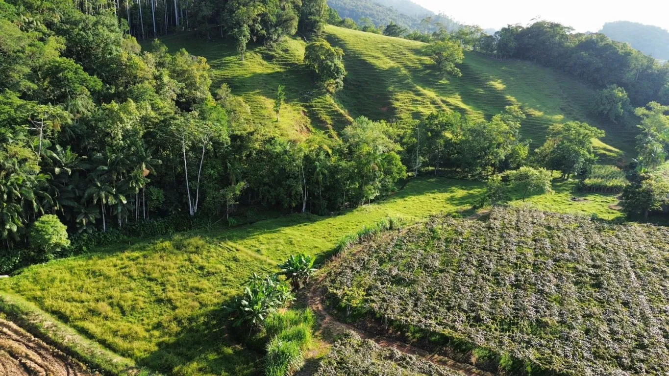 OPORTUNIDADE ÚNICA PARA SÍTIO EM ASCURRA/SC - 25.000m DE NATUREZA E POTENCIAL — foto 7