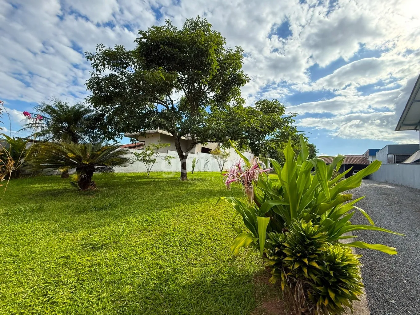 CASA NO BAIRRO RIO MORTO INDAIAL. — foto 2