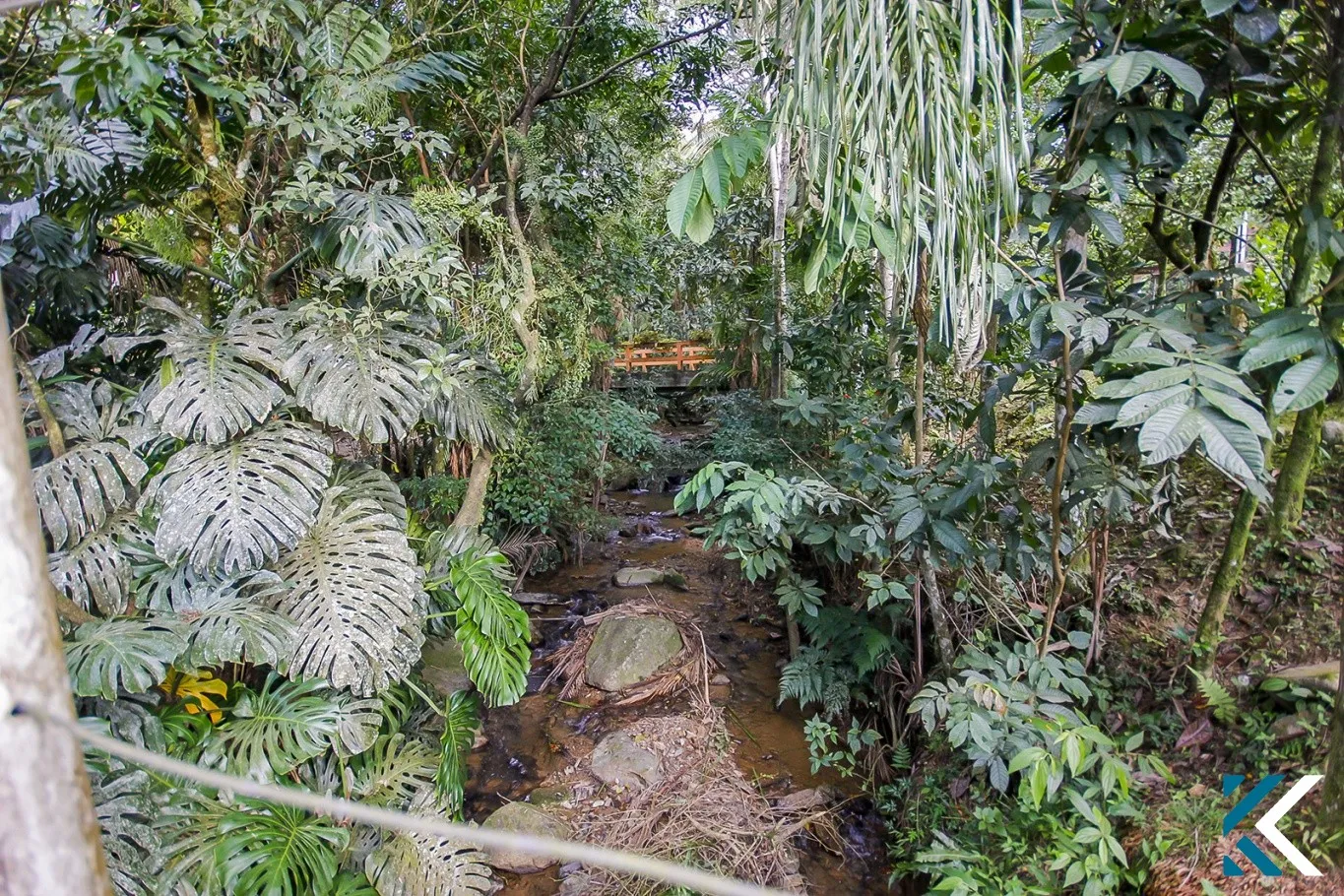 SÍTIO URBANO COMPLETO NO BAIRRO PROGRESSO - BLUMENAU/SC — foto 5