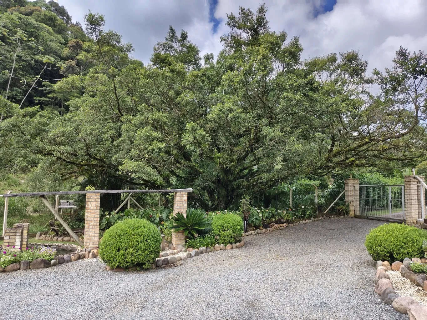 Sitio com 51.157 m em Belchior Alta - Gaspar SC — foto 2