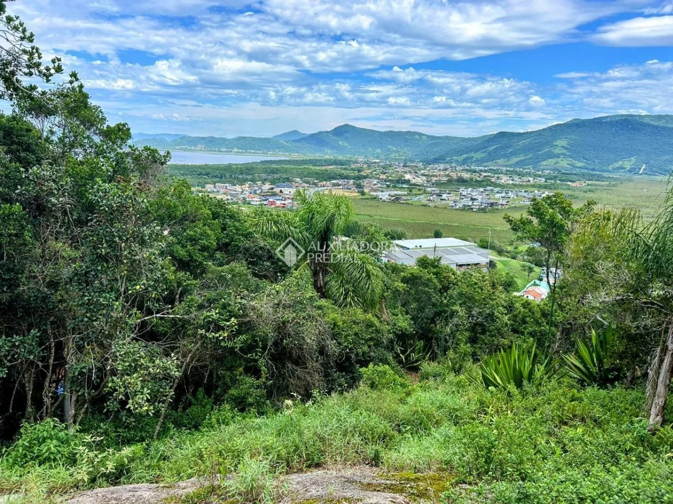 Imóvel — foto 5