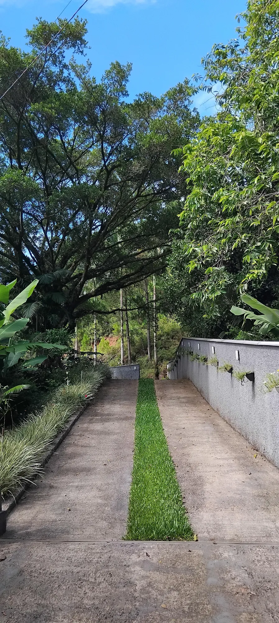 Chácara em Ascurra - Apenas 37 km de Blumenau e 21 km de Timbó — foto 2