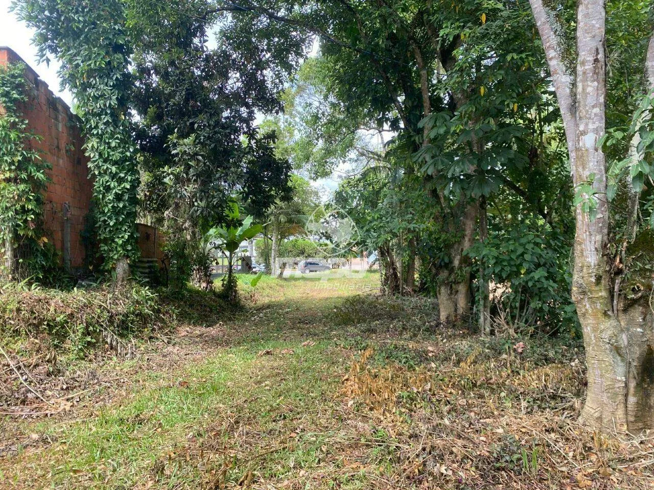 Terreno à venda Bairro Araponguinhas 1600m Timbó/SC — foto 3