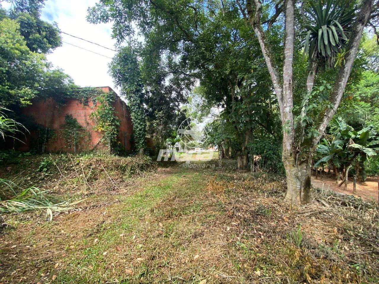Terreno à venda Bairro Araponguinhas 1600m Timbó/SC — foto 4