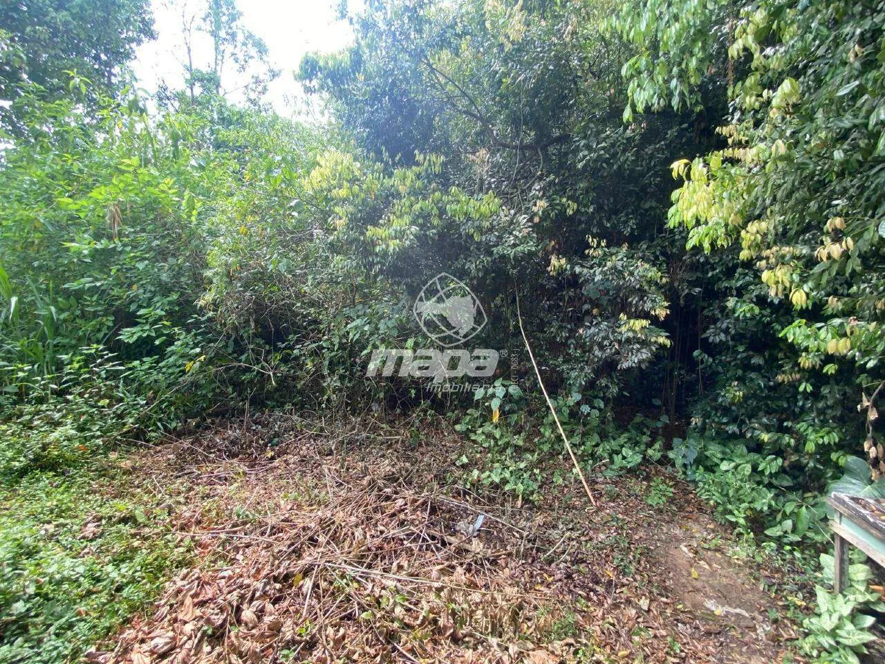 Terreno à venda Bairro Araponguinhas 1600m Timbó/SC — foto 5