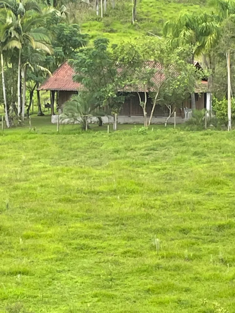 BELO SÍTIO EM APIÚNA - 50.000m2 — foto 2