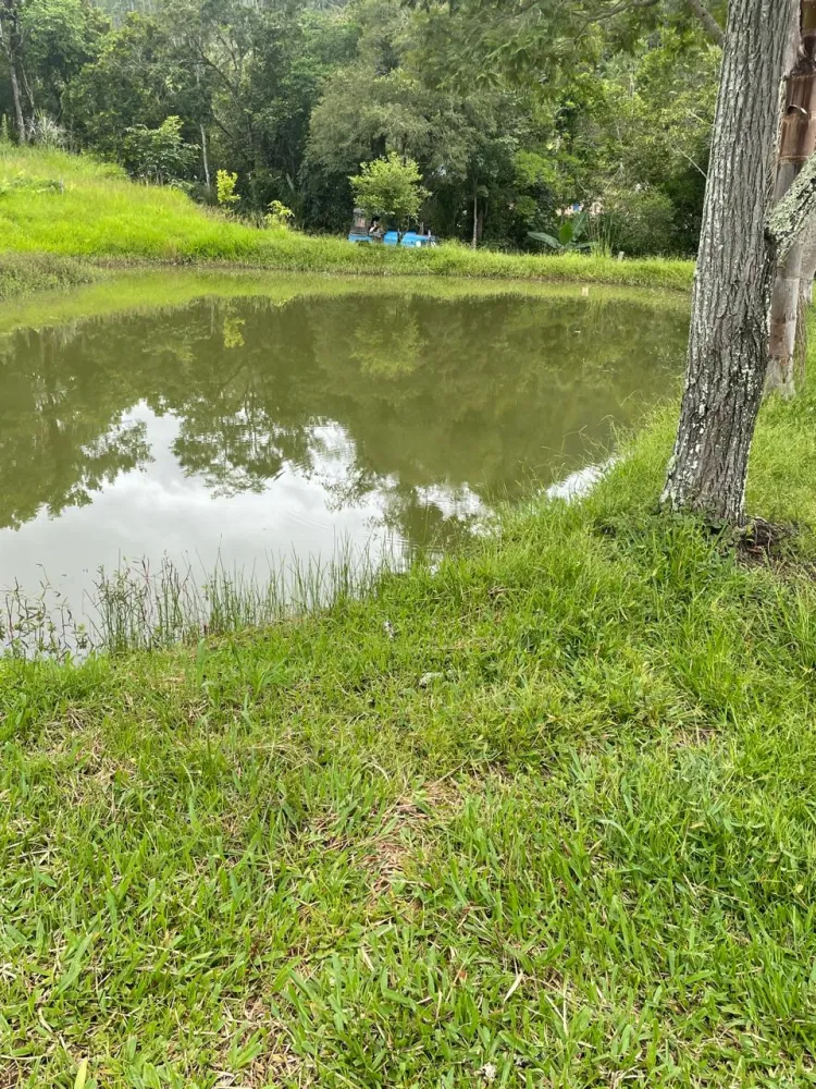 BELO SÍTIO EM APIÚNA - 50.000m2 — foto 5