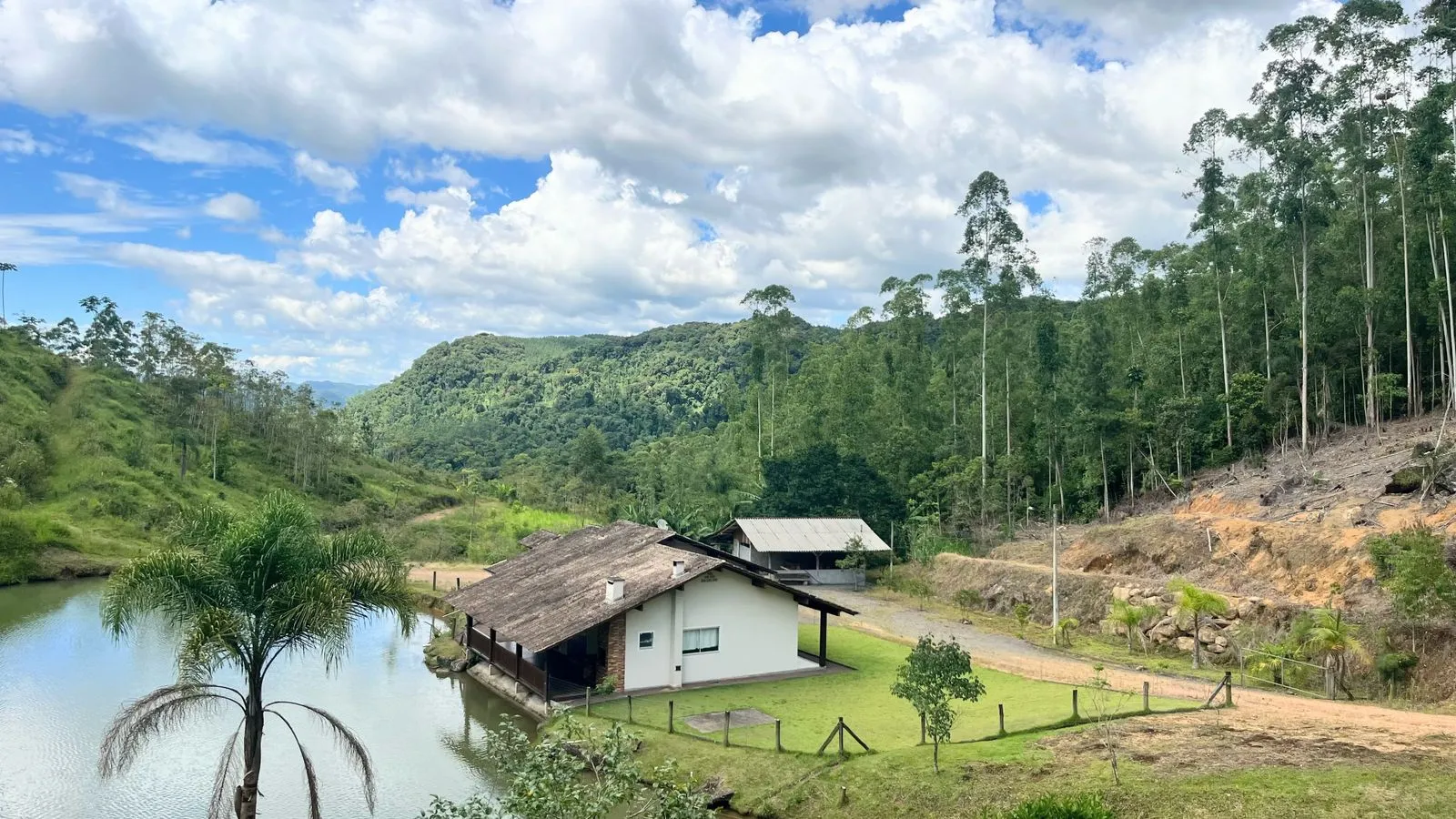 EXCELENTE SÍTIO EM BENEDITO NOVO - RIBEIRÃO DAS ANTAS — foto 2