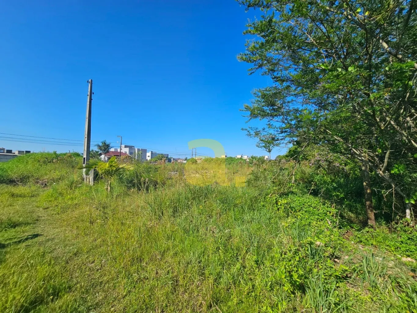 TERRENO À VENDA BAIRRO ITAJUBA - BARRA VELHA — foto 2