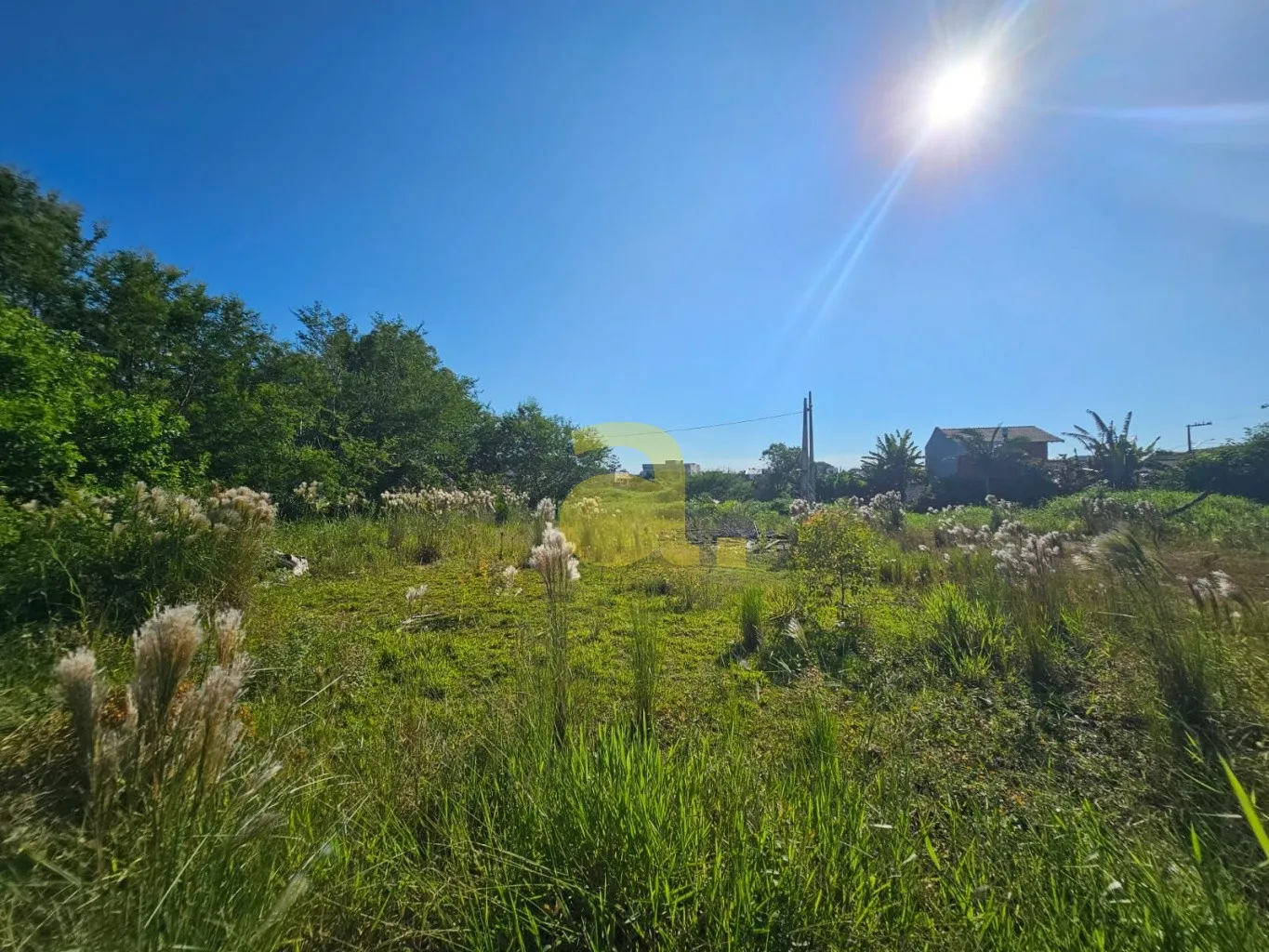 TERRENO À VENDA BAIRRO ITAJUBA - BARRA VELHA — foto 6