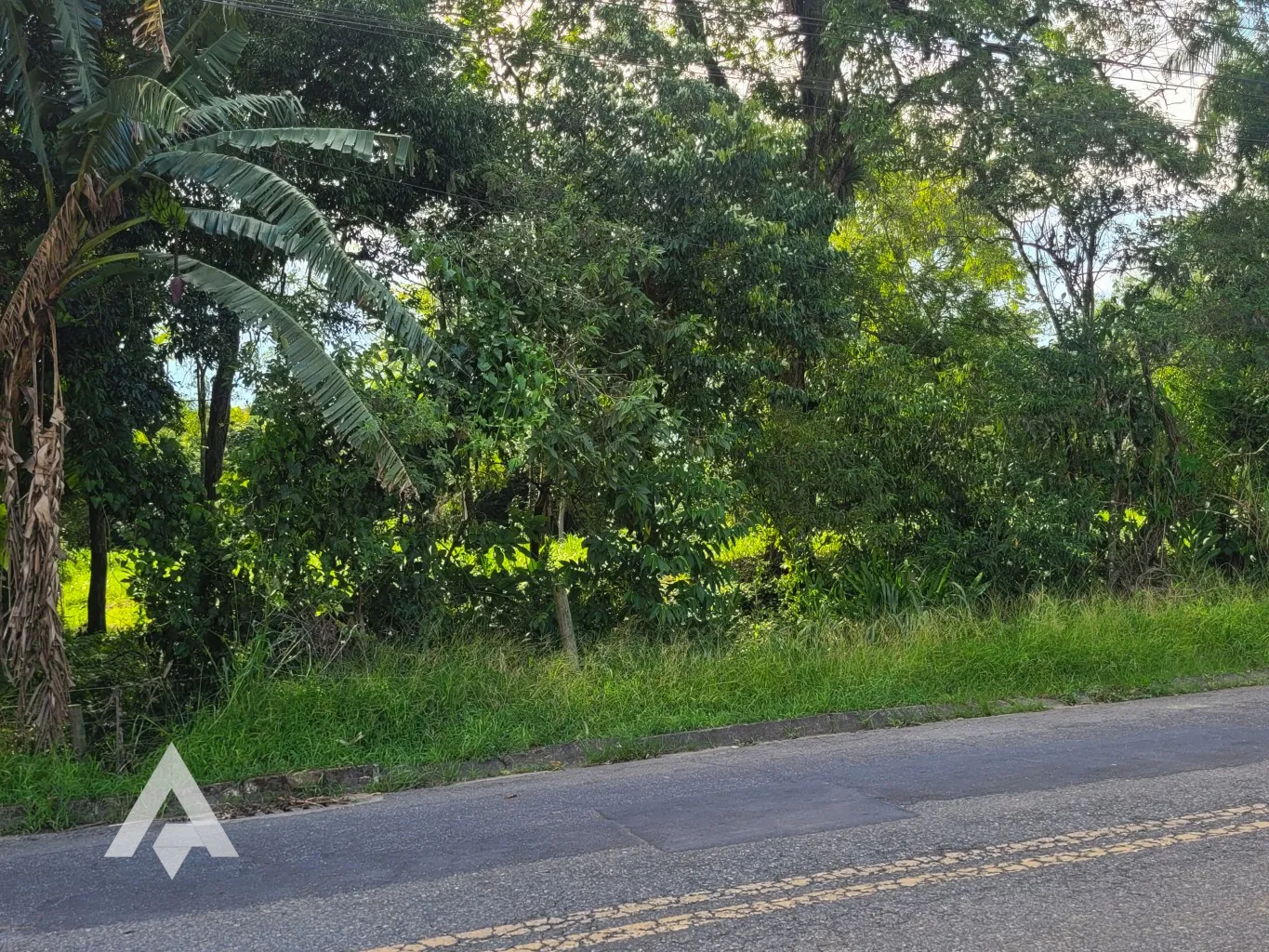 Terreno de 2.991,11m à venda por R$ 530.000,00 - Bairro Itoupava Central - Blumenau- SC — foto 5