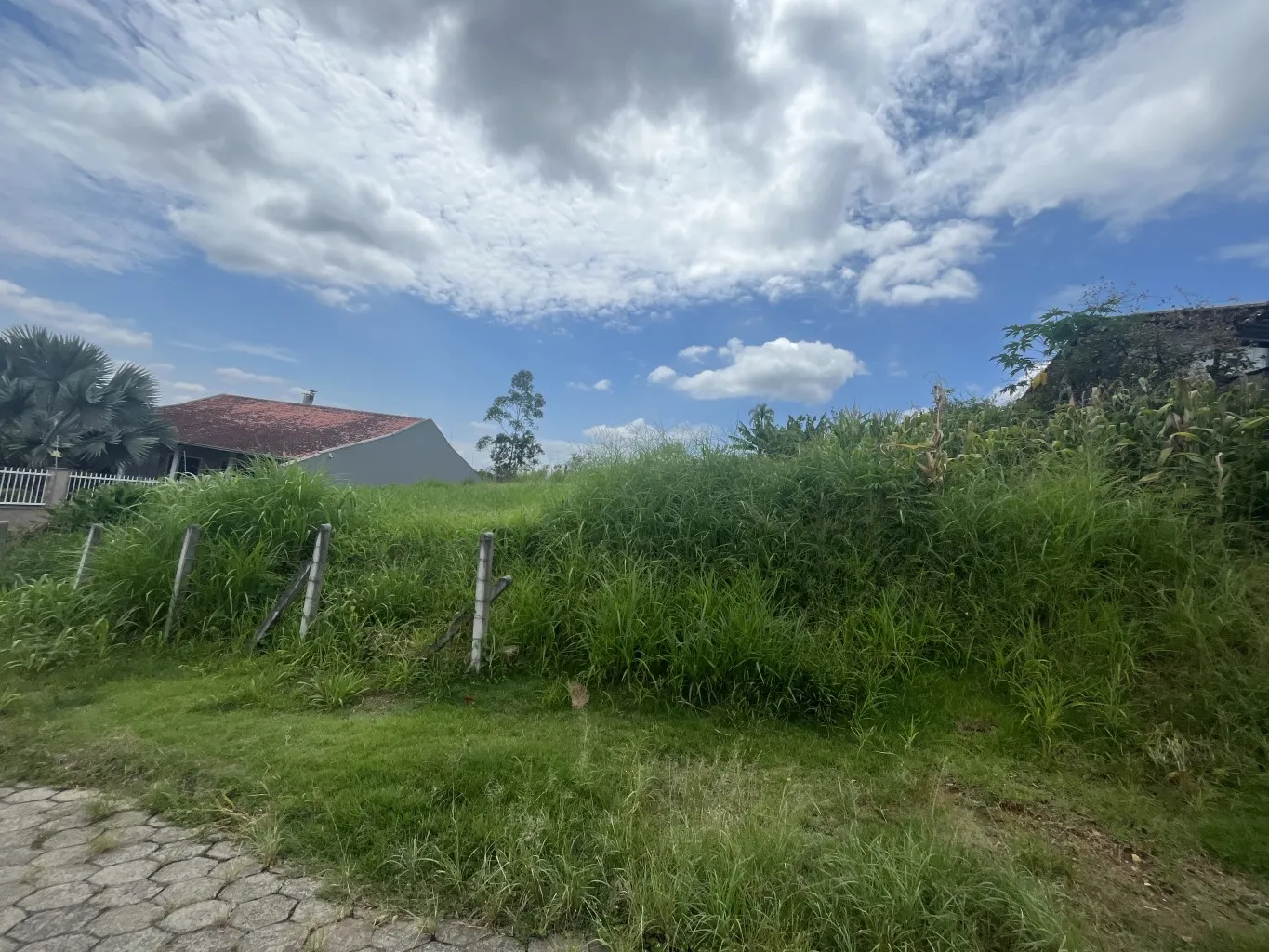 Terreno residencial com boa localização no bairro Velha Central. - foto 1