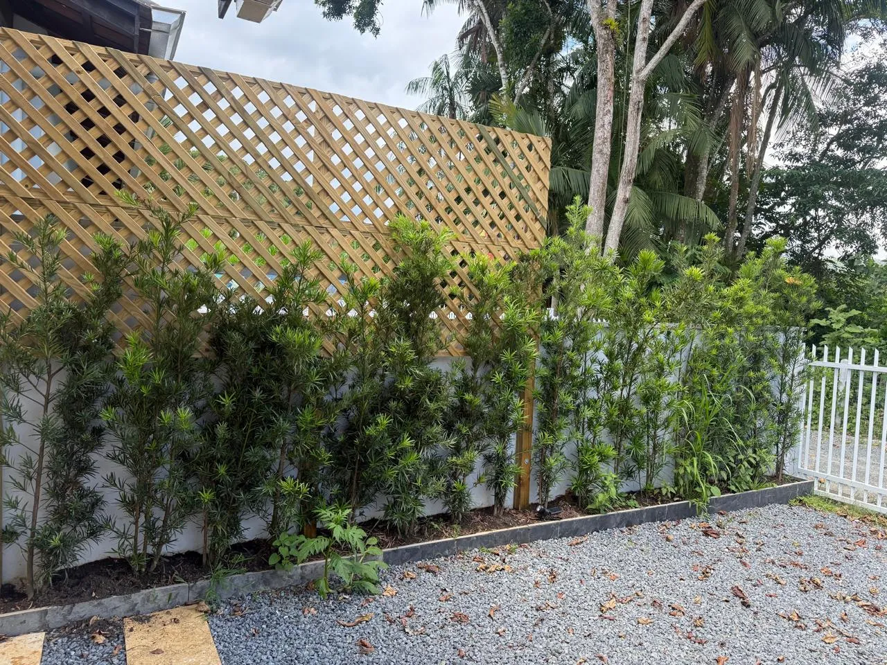 BELISSIMA CASA — foto 4