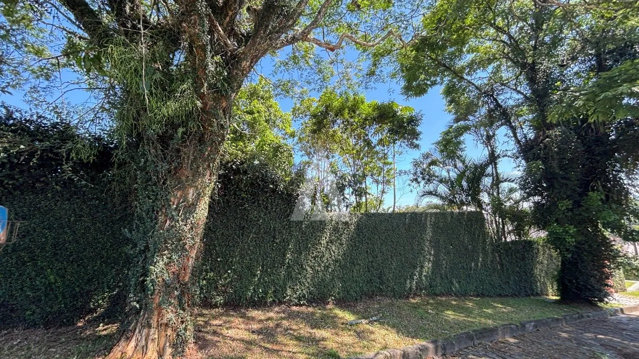 Terreno com 375m à venda no bairro Floresta em Joinville-SC por R$540.000,00. — foto 6