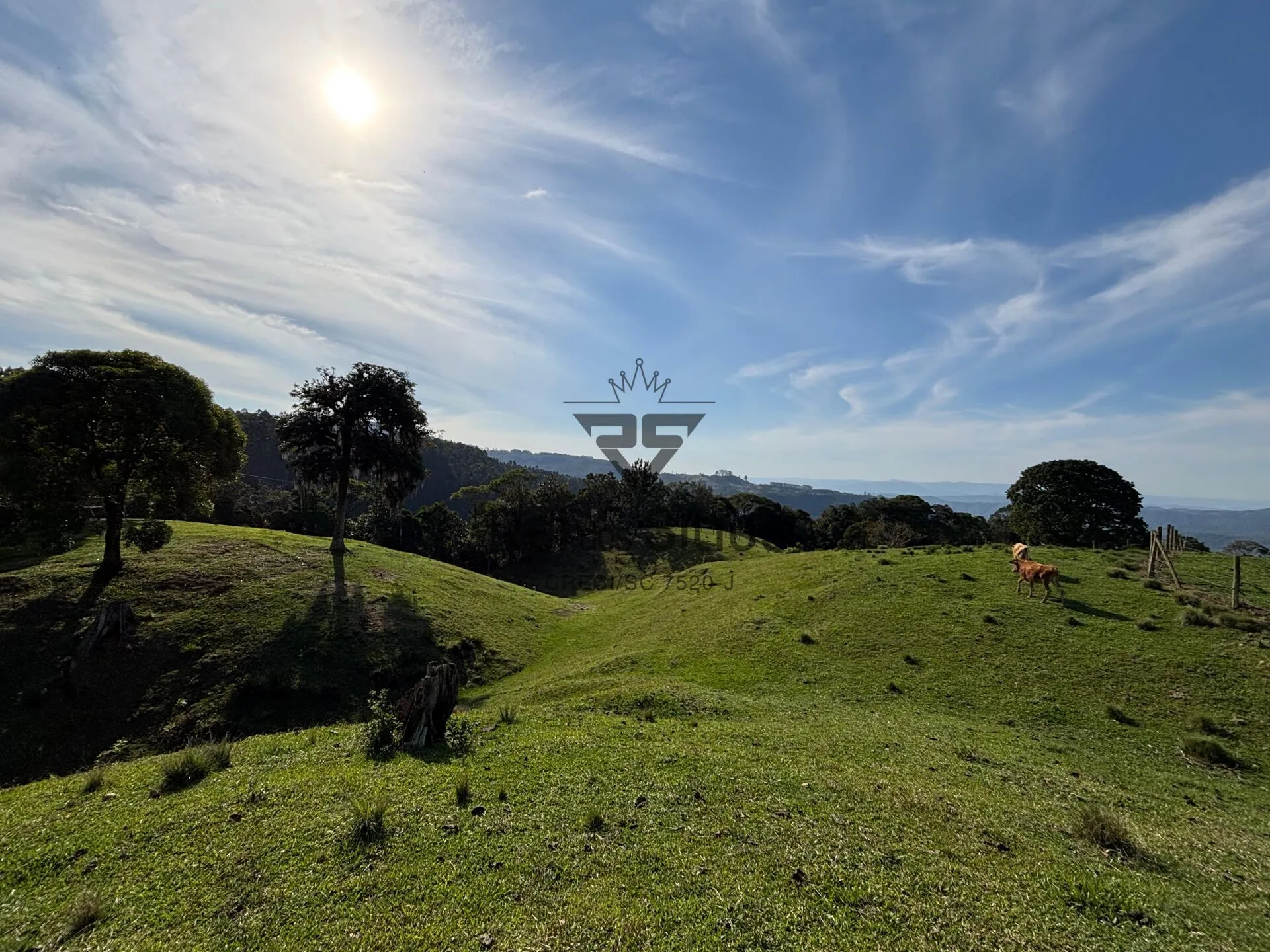 Chácara Maravilhosa e completa! — foto 4