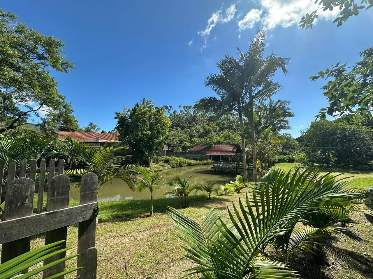 Sítio - 7.217,22 m - Alto Gasparinho - foto 1