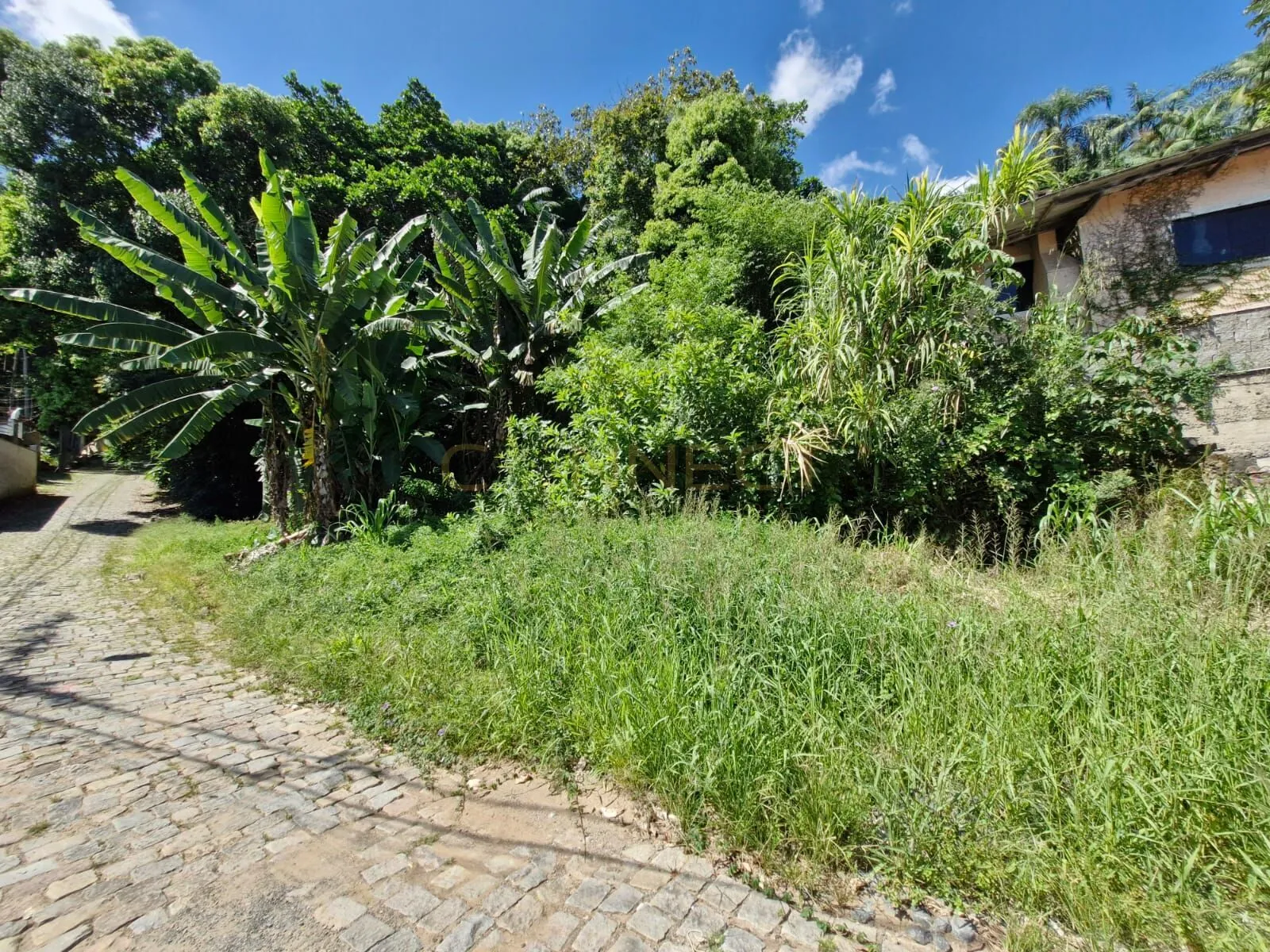 Terreno em Velha, Blumenau/SC - foto 1