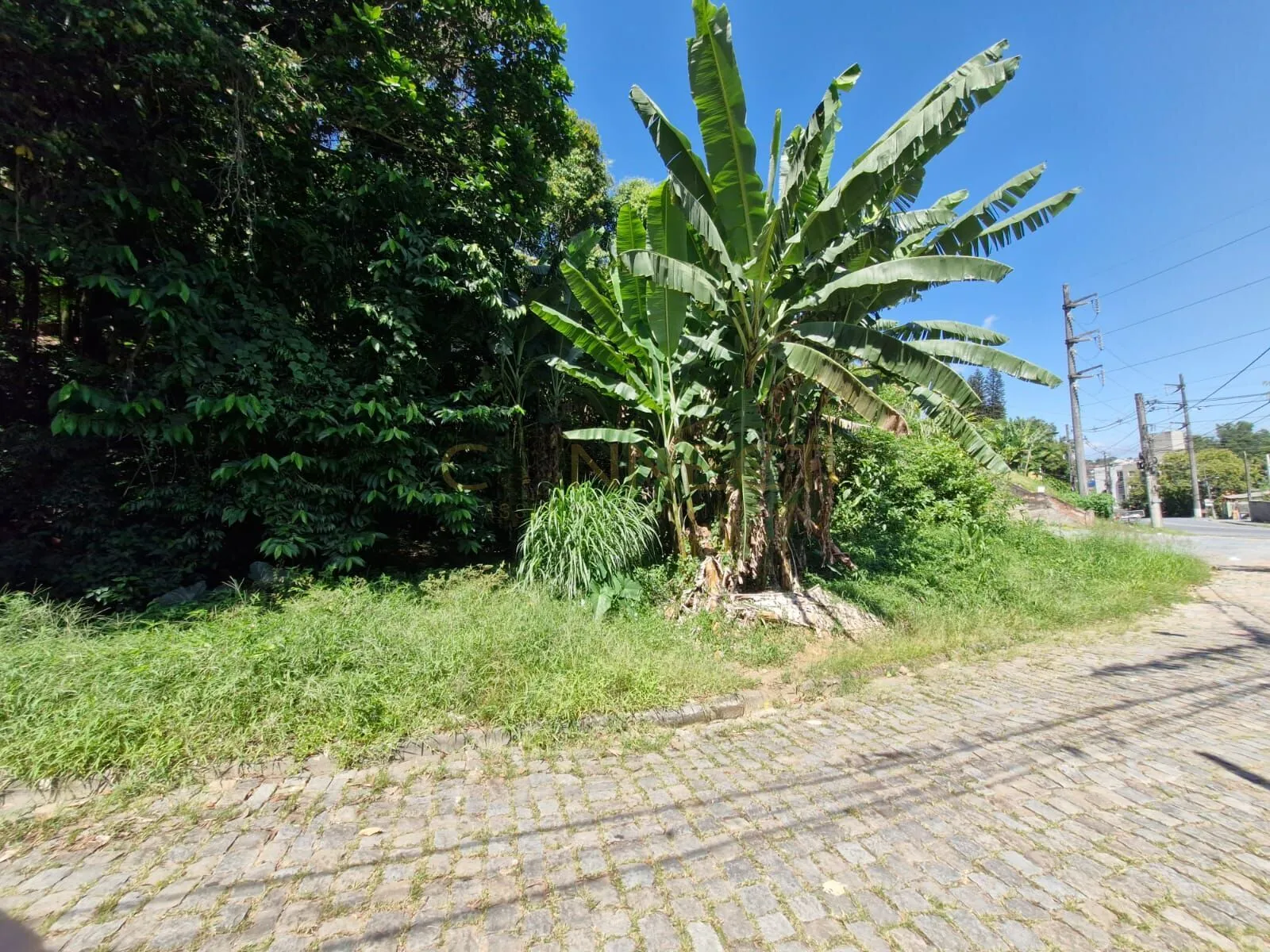 Terreno em Velha, Blumenau/SC — foto 3