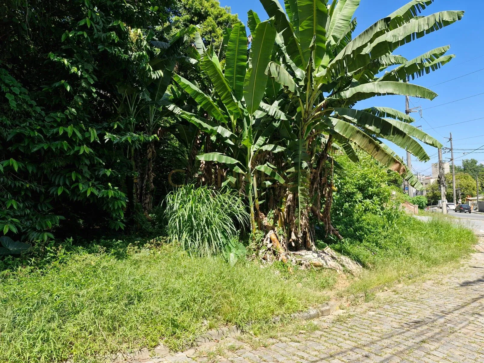 Terreno em Velha, Blumenau/SC — foto 5