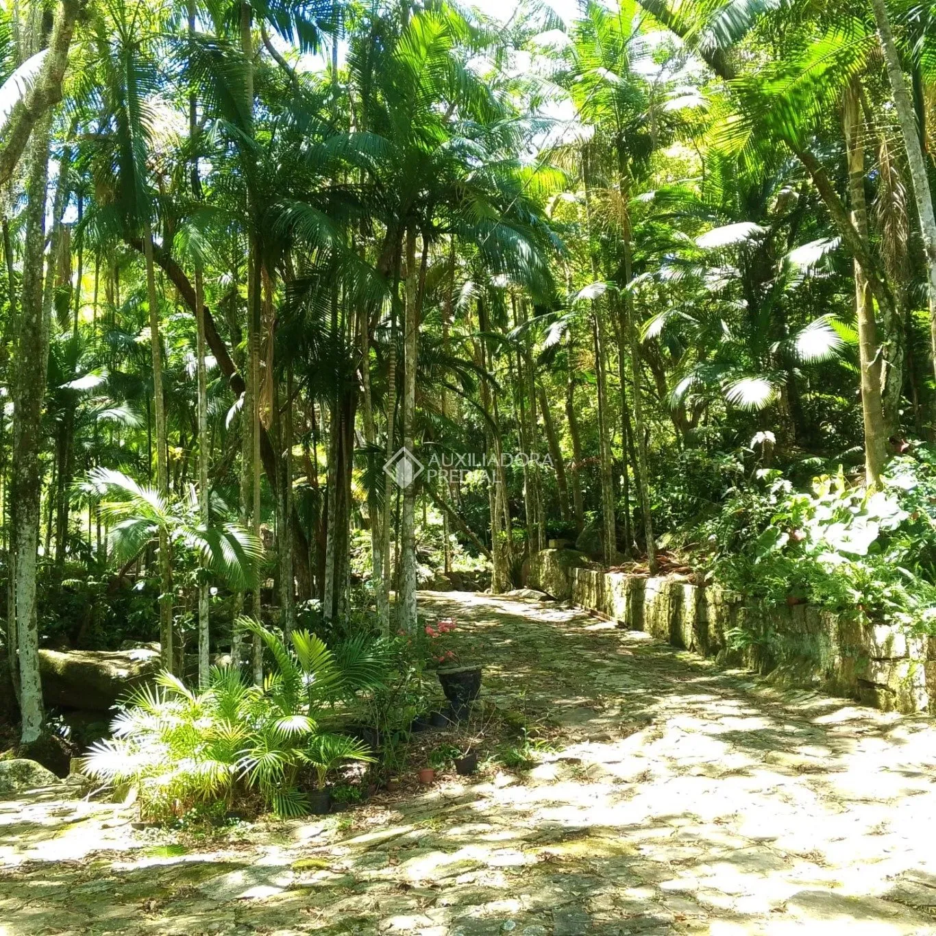 Imóvel Rural à venda, 159942m² na Maria do Nascimento Costa no Vargem do Bom Jesus, Florianópolis — foto 2