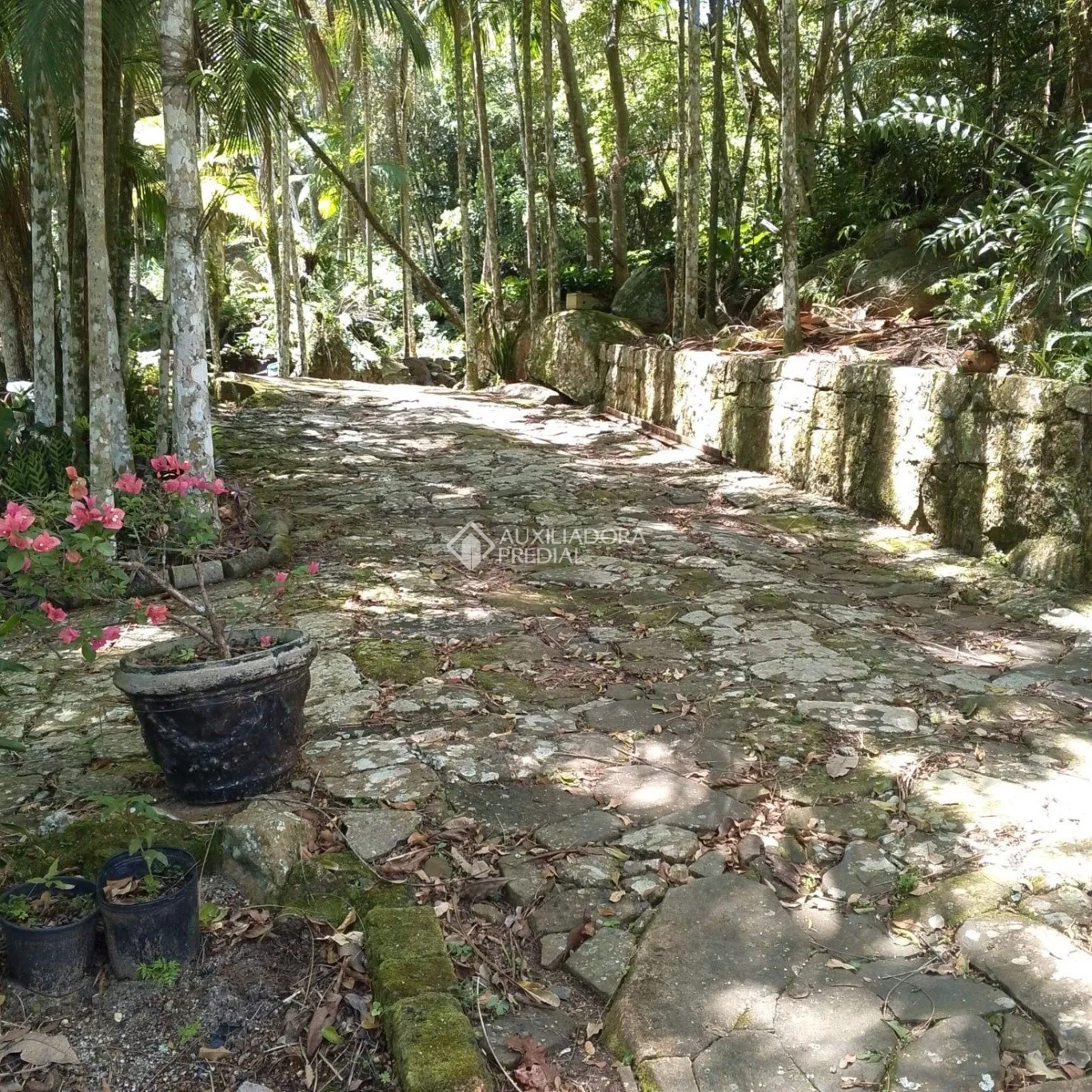 Imóvel Rural à venda, 159942m² na Maria do Nascimento Costa no Vargem do Bom Jesus, Florianópolis — foto 3