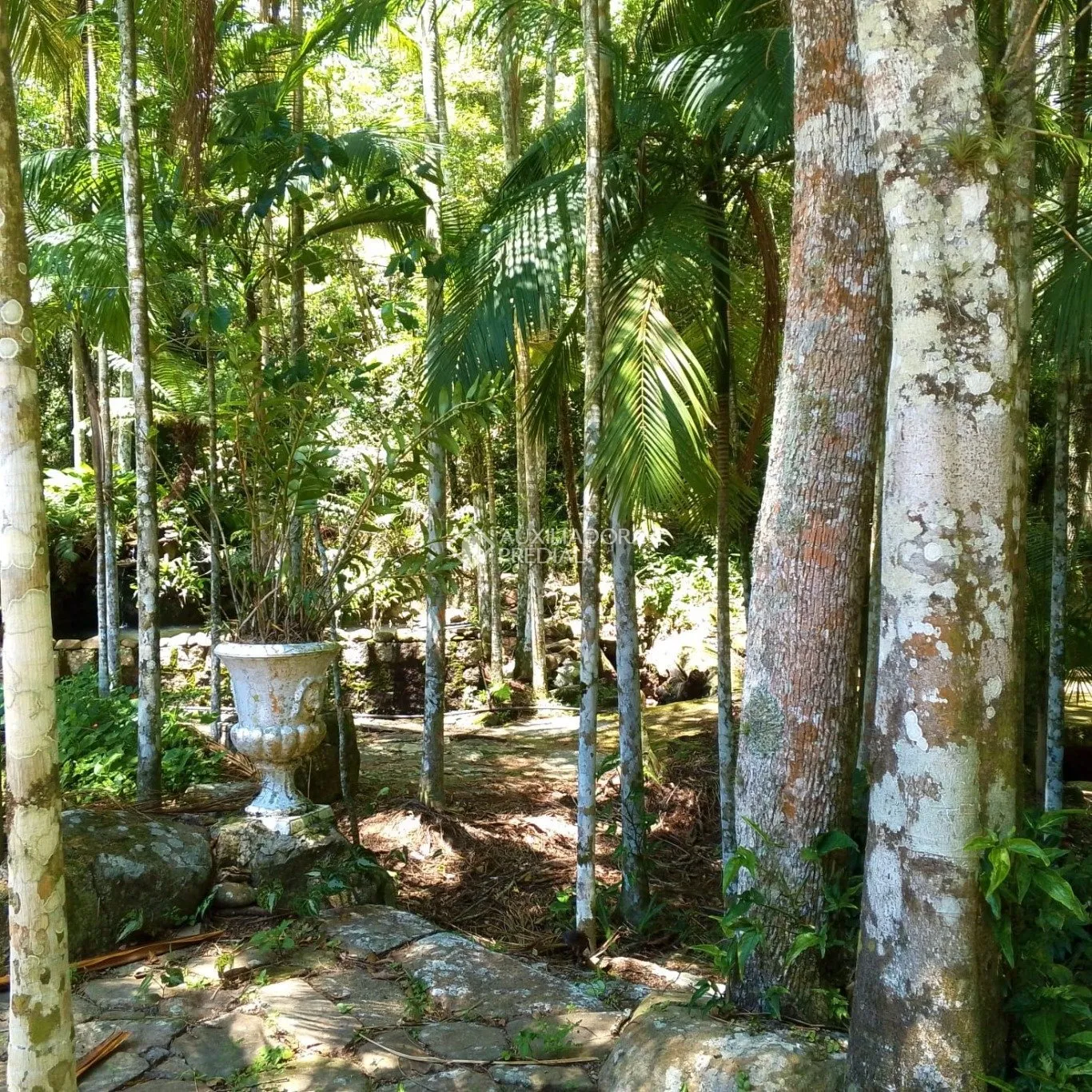 Imóvel Rural à venda, 159942m² na Maria do Nascimento Costa no Vargem do Bom Jesus, Florianópolis — foto 4
