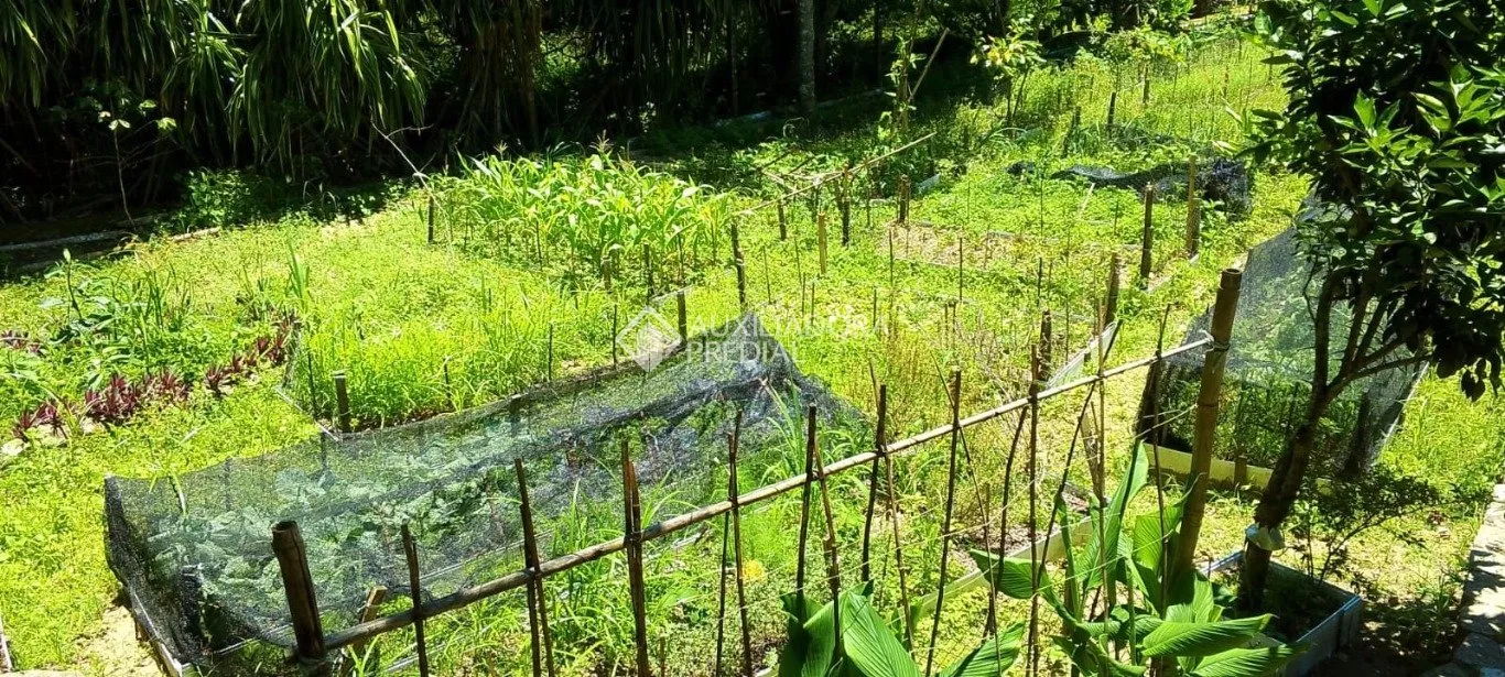 Imóvel Rural à venda, 159942m² na Maria do Nascimento Costa no Vargem do Bom Jesus, Florianópolis — foto 6