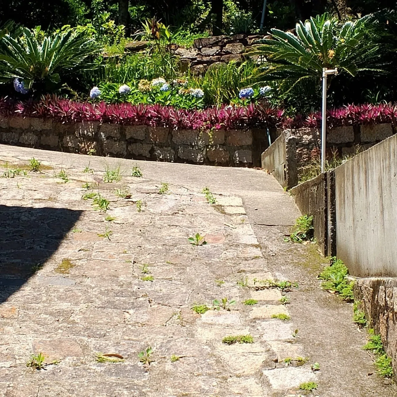 Imóvel Rural à venda, 159942m² na Maria do Nascimento Costa no Vargem do Bom Jesus, Florianópolis — foto 7