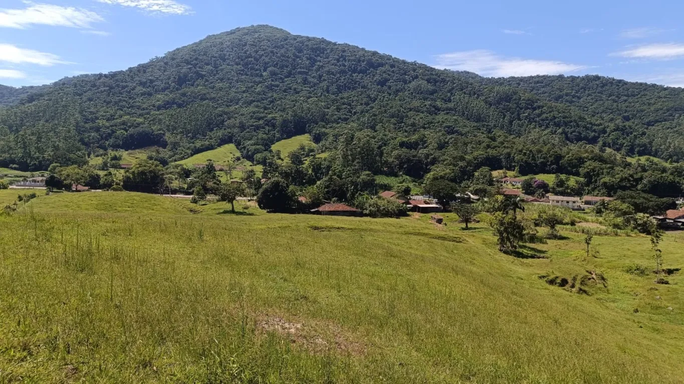 Sítio à venda em Pomerode, ótima localização e de fácil acesso a Blumenau. - foto 1