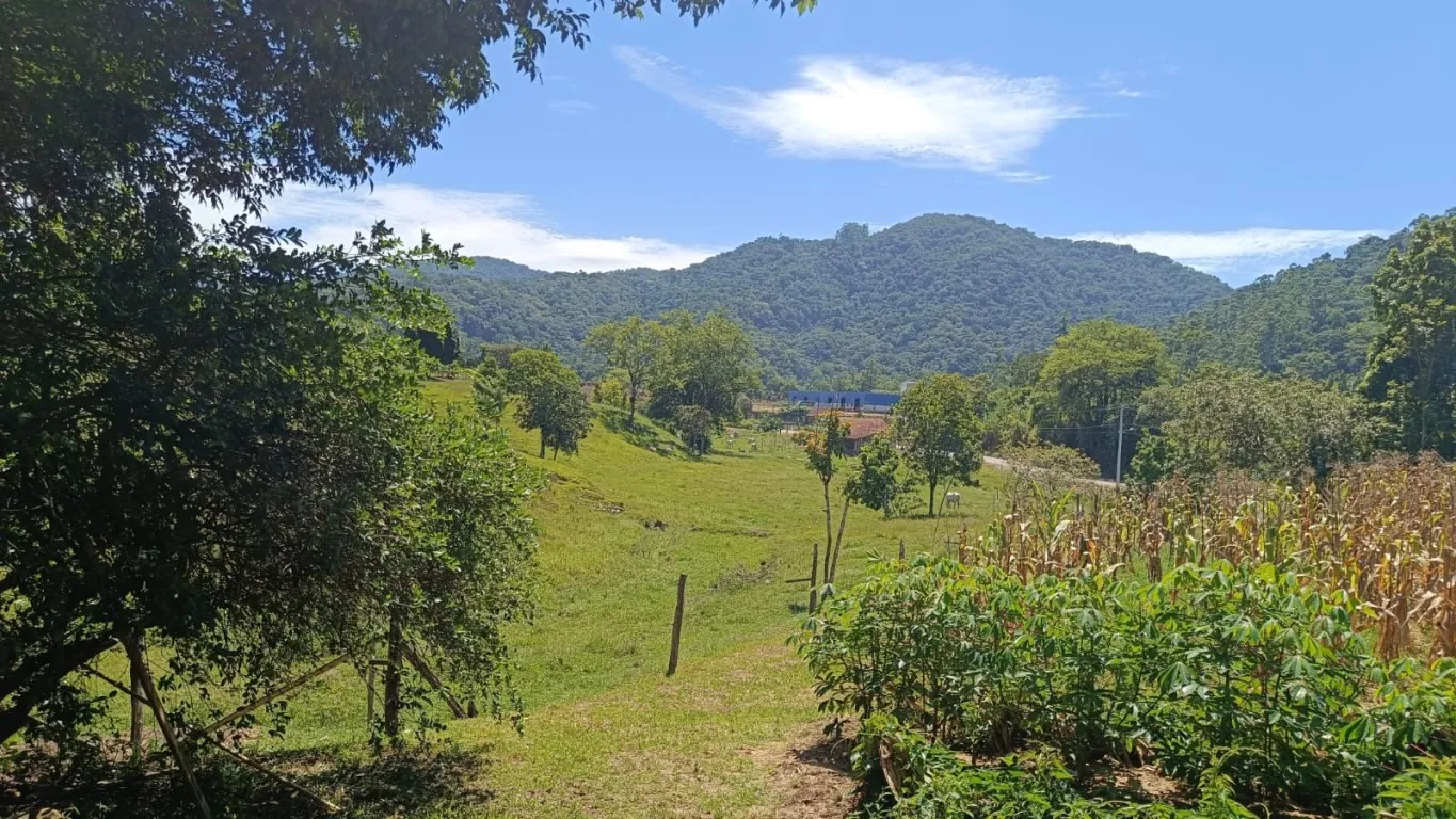Sítio à venda em Pomerode, ótima localização e de fácil acesso a Blumenau. — foto 4
