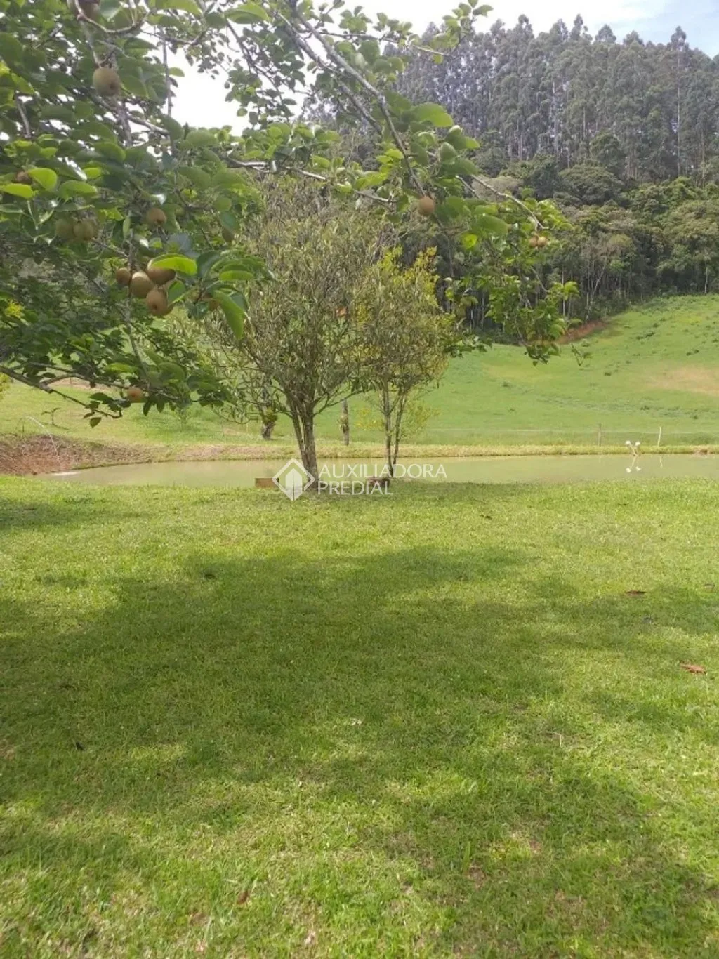 Imóvel — foto 3