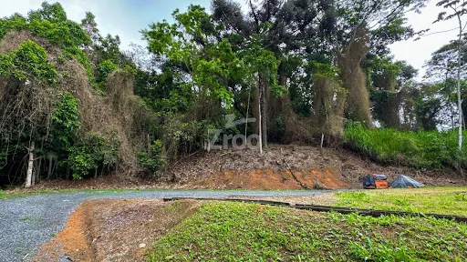 Galpão em Passo Manso - Blumenau — foto 7