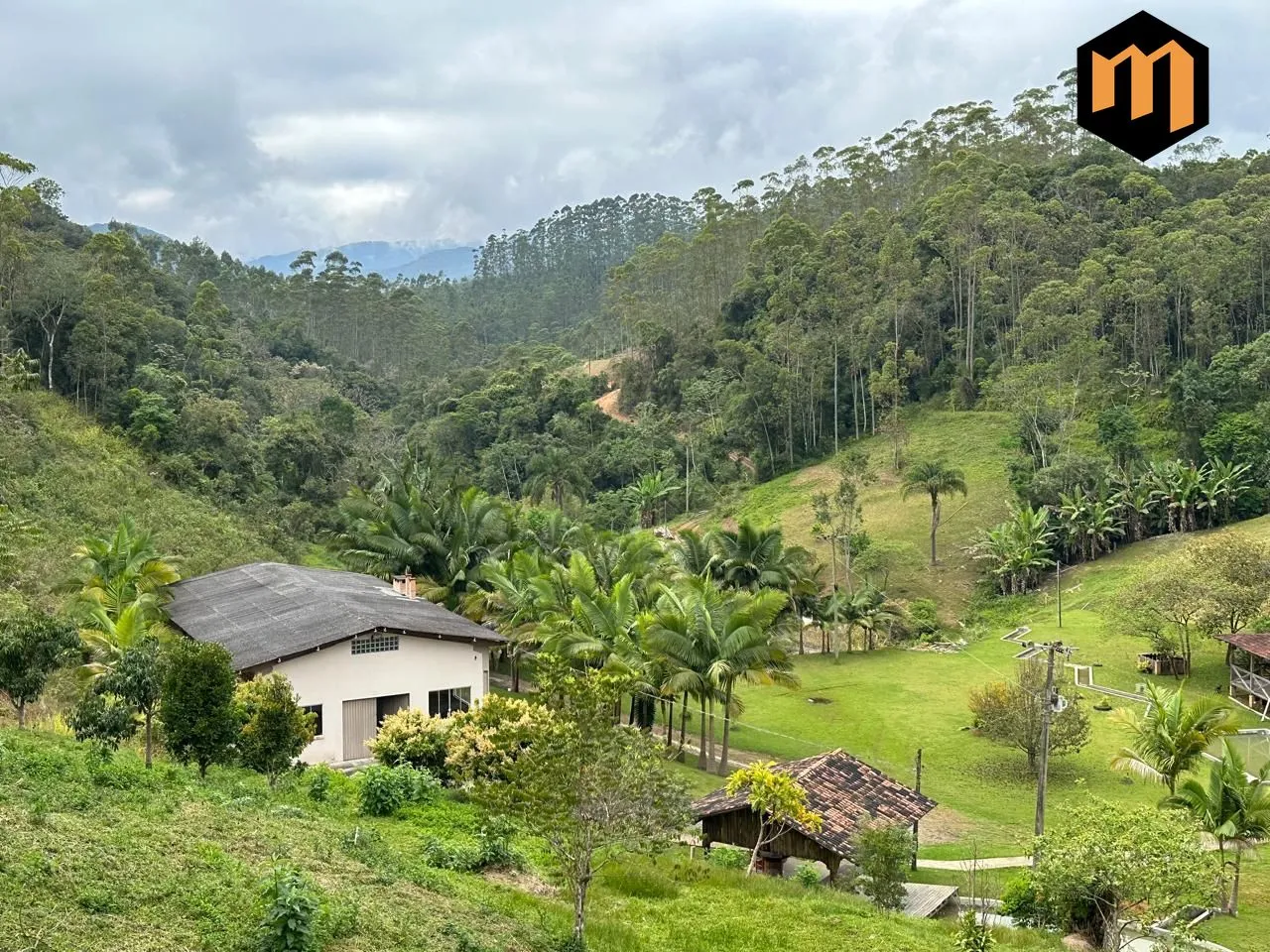 Sítio em Indaial - Oportunidade Única! — foto 6