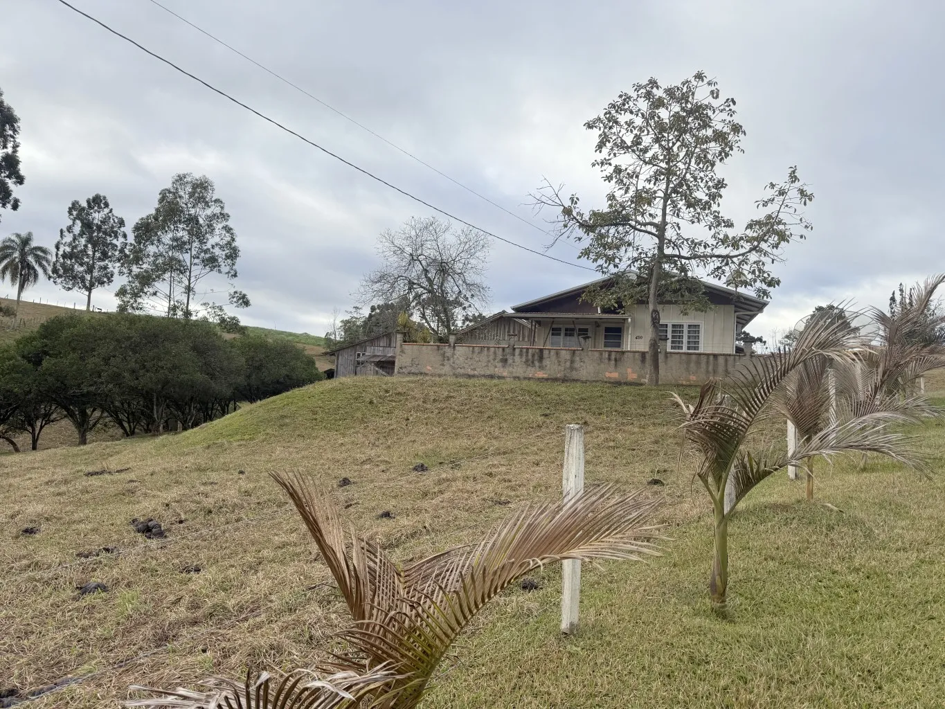 Sitio com 23,59 hectares no Bairro Mosquito em Agronômica /SC Ref. 1625 - foto 1