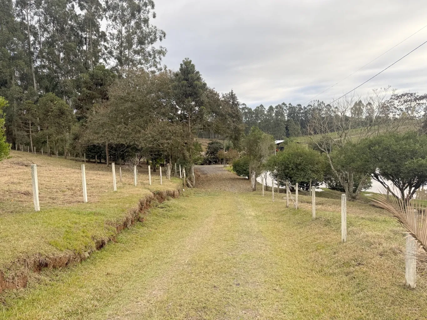 Sitio com 23,59 hectares no Bairro Mosquito em Agronômica /SC Ref. 1625 — foto 2
