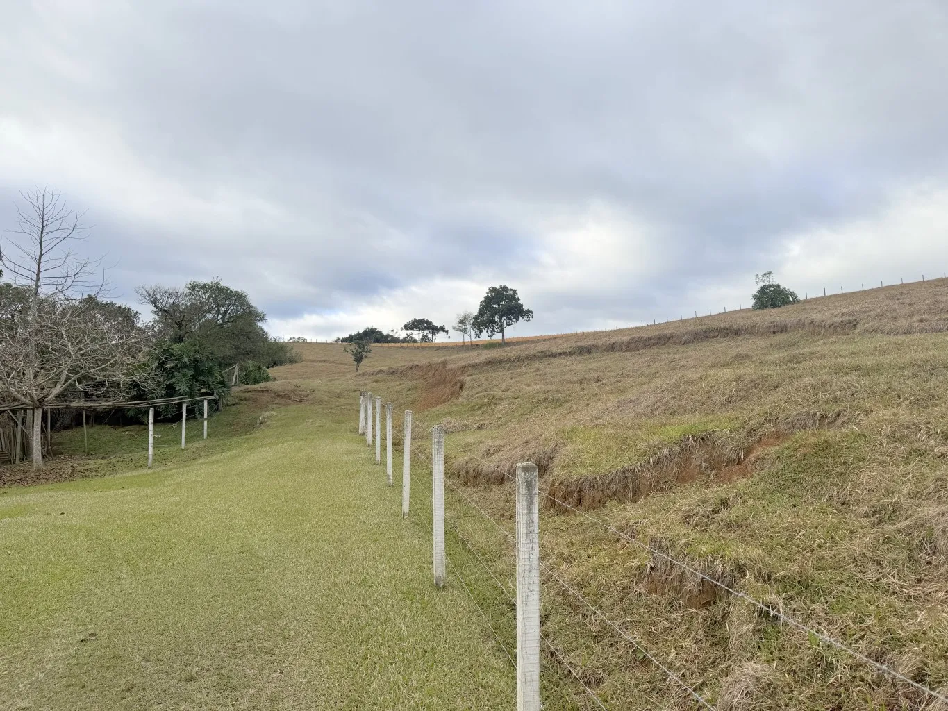Sitio com 23,59 hectares no Bairro Mosquito em Agronômica /SC Ref. 1625 — foto 6
