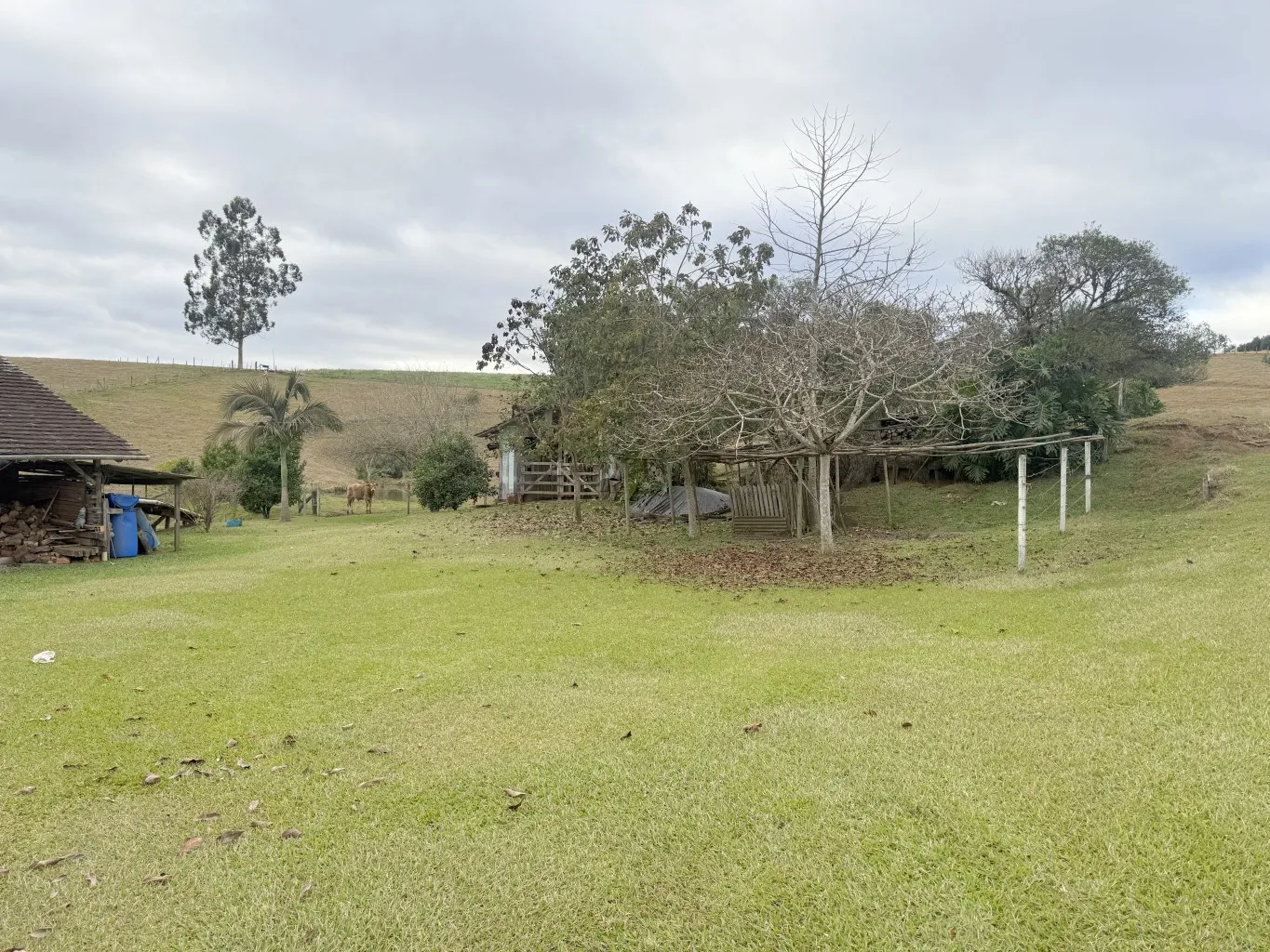 Sitio com 23,59 hectares no Bairro Mosquito em Agronômica /SC Ref. 1625 — foto 7