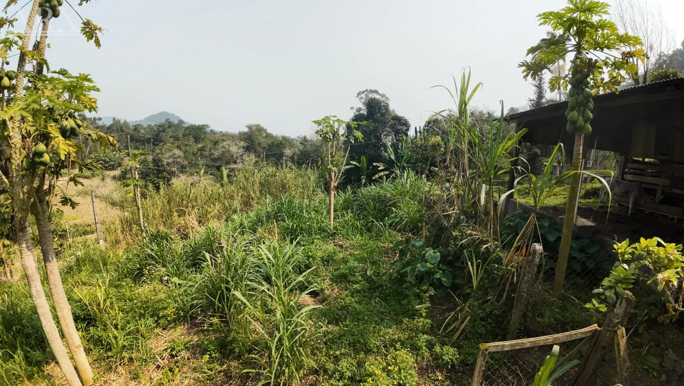 Casa espetacular no bairro Jardim Blumenau - Exclusividade ARX Imóveis — foto 7