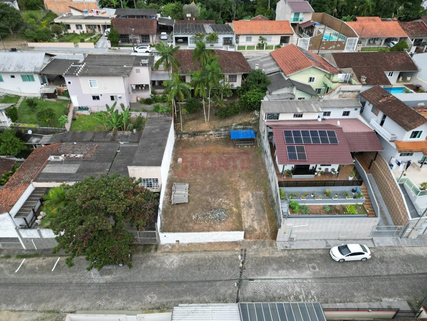 Excelente terreno de 289 m, em rua plana e livre de enchente no bairro Garcia. - foto 1