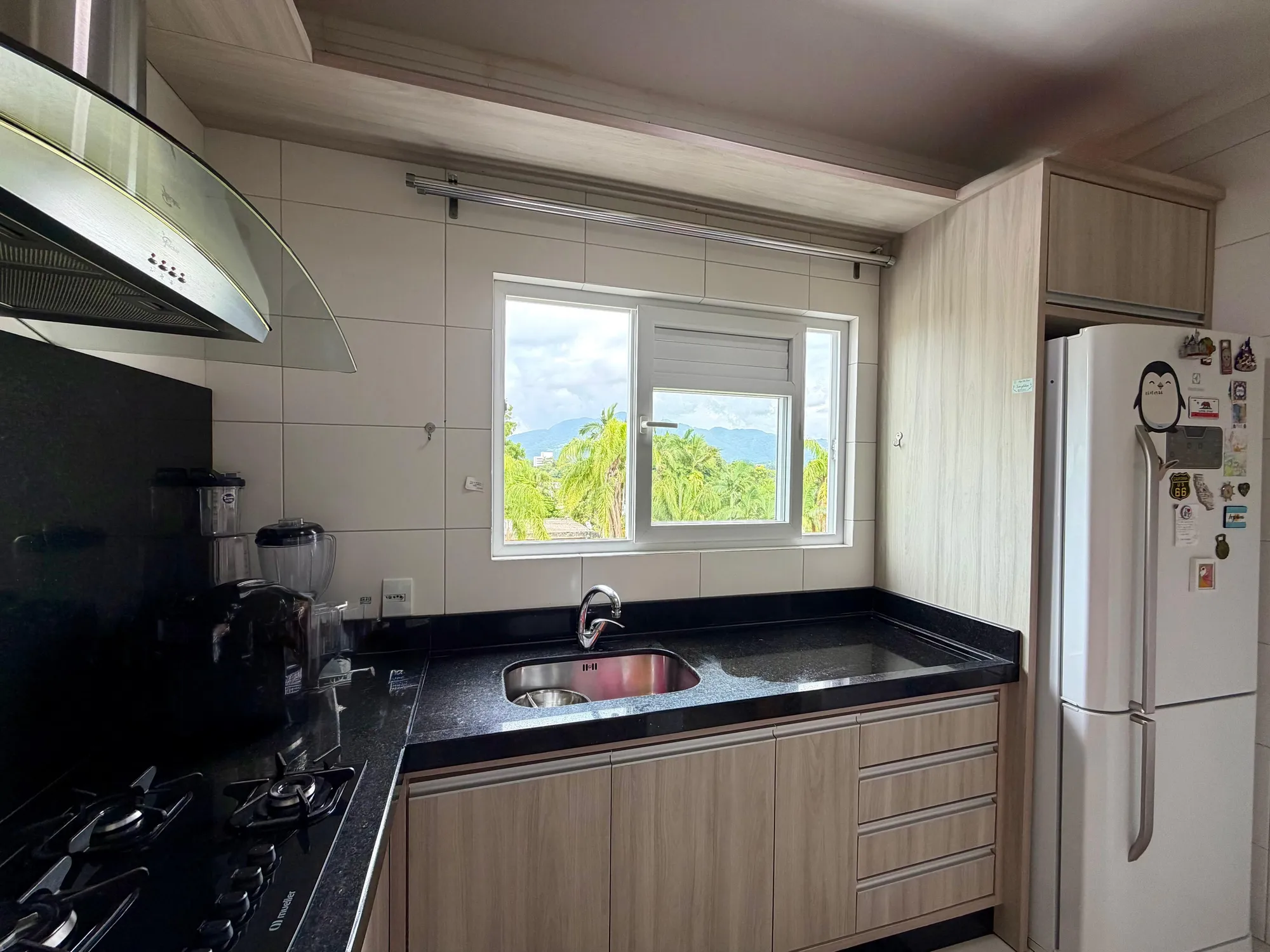APARTAMENTO NO EDIFICIO FÊNIX. — foto 3