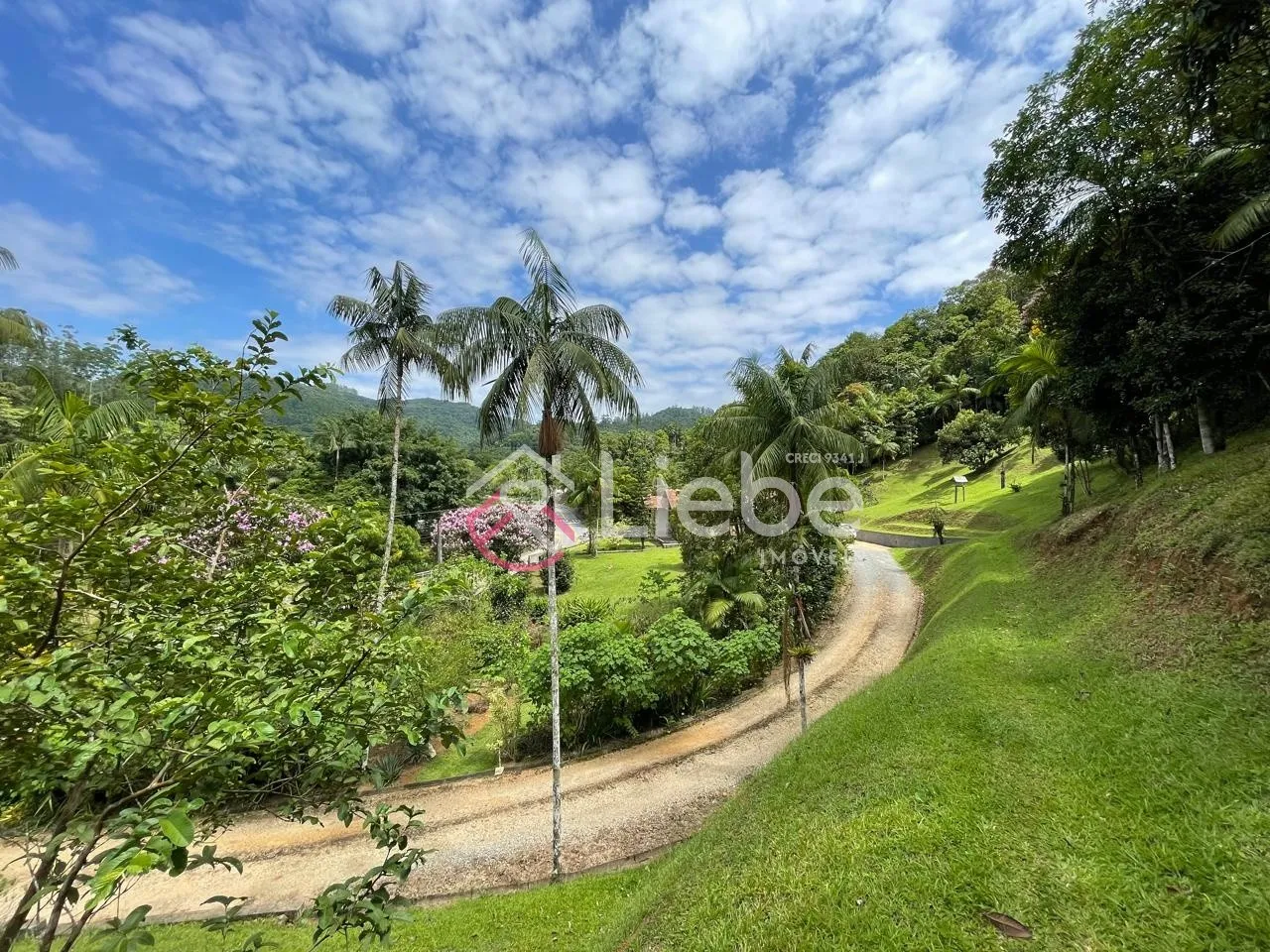 Excelente imóvel no Bairro Ribeirão Souto na cidade de Pomerode com 130,00m de área construída num terreno com 28.392,13m. — foto 6