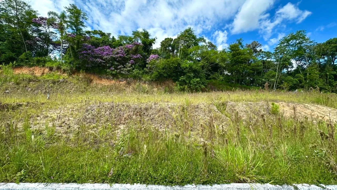 Loteamento Exclusivo em Pomerode - Tradição, Cultura e Qualidade de Vida — foto 5