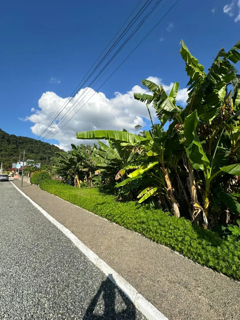 TERRENO À VENDA - BAIRRO DOS ESTADOS - INDAIAL/SC — foto 5